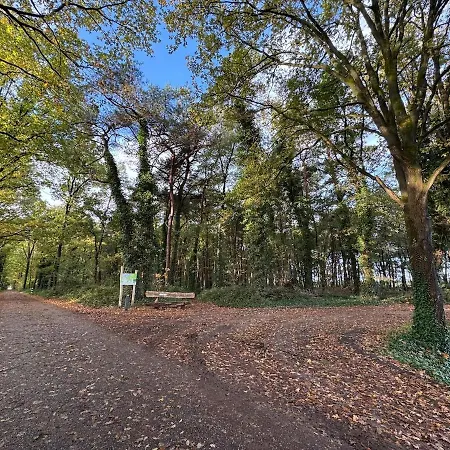 't Boshutje With Hot Tub Chalet *