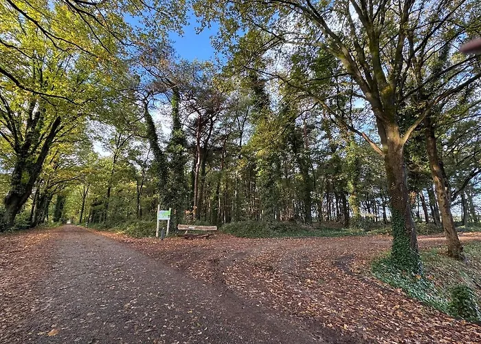 't Boshutje With Hot Tub Chalet *